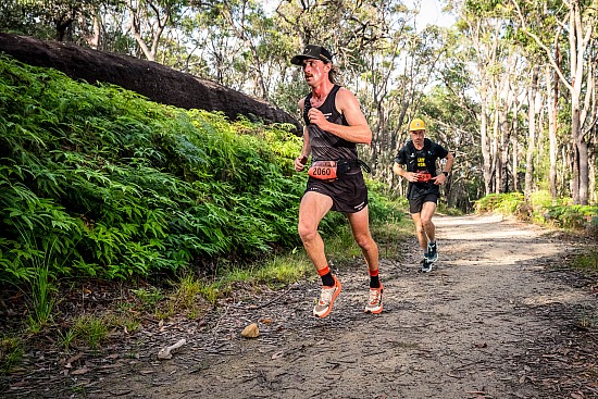 Forest Trail Run